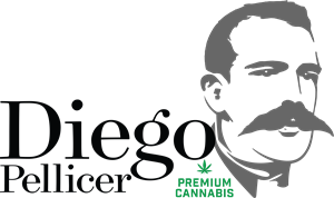 diego-pellicer-new-logo